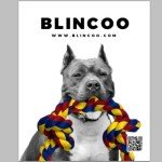 Super Tough Tug-of-War Rope Toy for Dogs