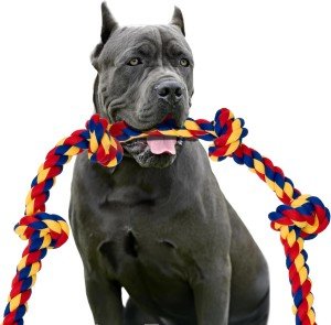 BLINCOO Durable 48" Interactive Dog Rope Toy