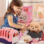 13-Piece Interactive Dog Toy Set for Puppies