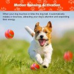 Interactive Electronic Dog Toy Ball - Automatic Fun