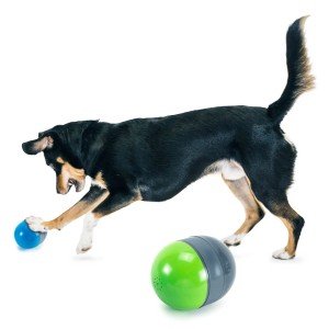 PetSafe Ricochet Battery-Operated Squeaky Dog Toys
