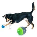 PetSafe Ricochet Battery-Operated Squeaky Dog Toys