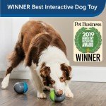 PetSafe Ricochet Battery-Operated Squeaky Dog Toys