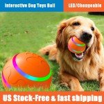 Interactive Electronic Dog Toy Ball for Pets