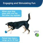 PetSafe Ricochet Battery-Operated Squeaky Dog Toys