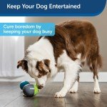 PetSafe Ricochet Battery-Operated Squeaky Dog Toys