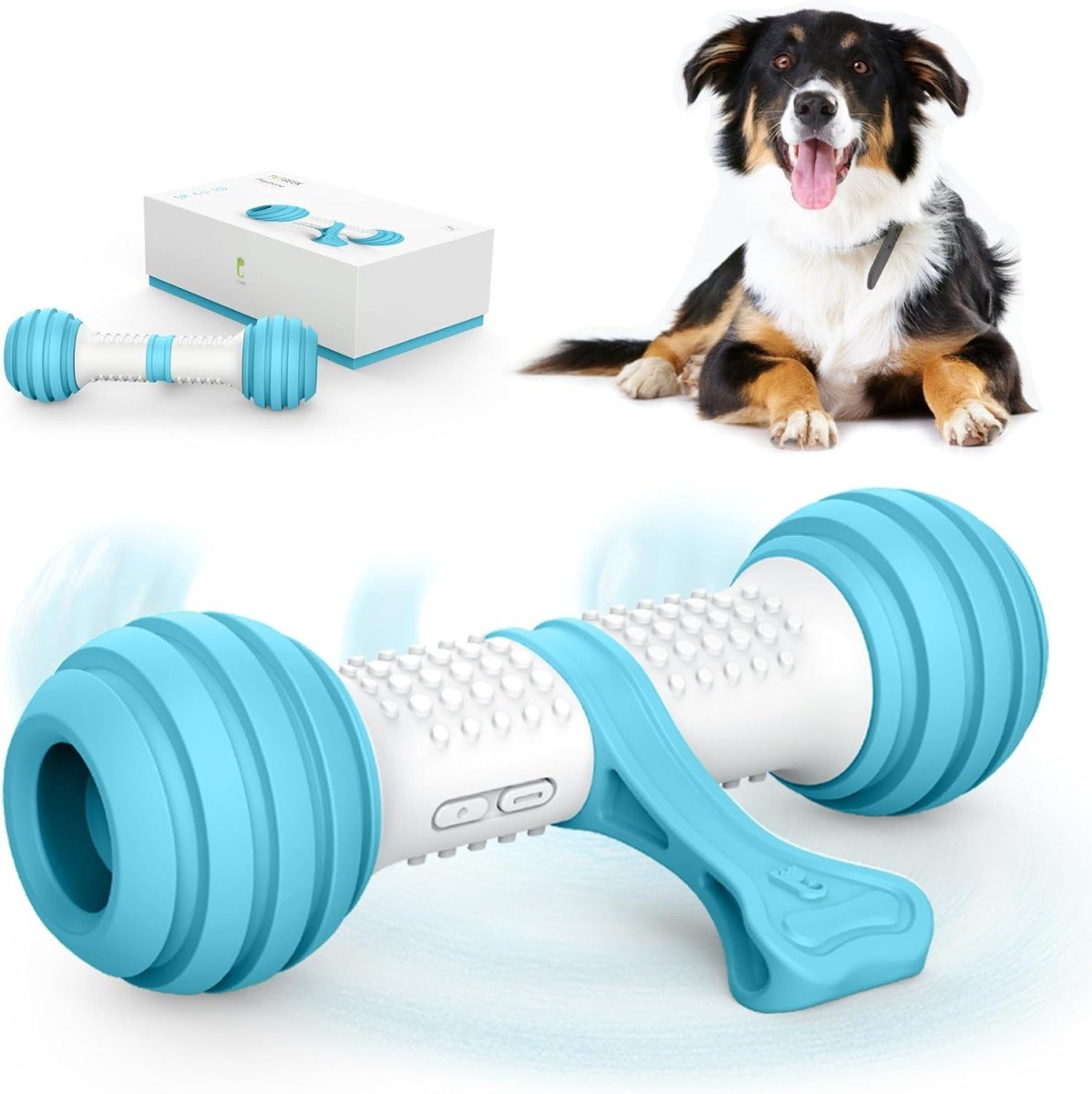 Petgeek