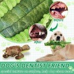 5-Pack Tough Squeaky Plush Dog Toys