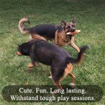 Stylish Waterproof Dog Bed & Couch Design