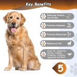 Heartbeat Plush Toy for Puppies and Dogs