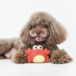 Vibrant Life Playful Buddy Crab Dog Toy