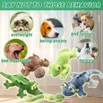 5-Pack Tough Squeaky Plush Dog Toys