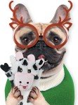 5-Pack No Stuffing Dog Squeaky Toys