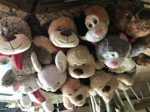 Plush Bunny Squeaker Toy for Dogs