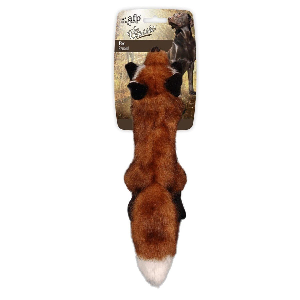 All For Paws