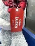 Lucky the Gray Cat Plush Squeaky Dog Toy