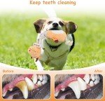 Durable Squeaky Stuffed Dog Chew Toys