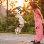 Squeaky Elephant Plush Toy for Puppies