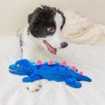 Crocodile Squeaky Dog Toy with Crinkle Paper