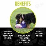 Hero Chuckle Bellies Bear Plush Dog Toy