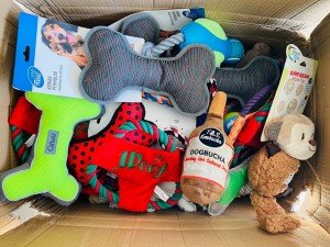 Dog Squeaky Toys for All Sizes of Dogs