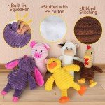 Cute Squeaky Plush Dog Toys for Chewers