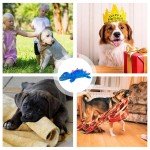 Crocodile Squeaky Dog Toy with Crinkle Paper