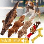 5-Pack Durable Plush Squeaky Dog Toys