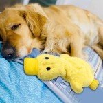 Durable Squeaky Duck Chew Toy for Aggressive Chewers