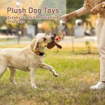 Cute Squeaky Plush Dog Toys for Chewers