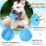Durable Squeaky Dog Balls for Aggressive Chewers