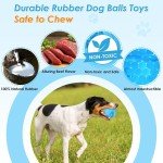 Durable Squeaky Dog Balls for Aggressive Chewers