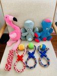Assorted Squeaky Toys for All Dog Sizes
