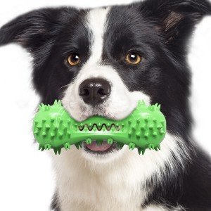 Durable Chew Toys for Aggressive Dogs' Teeth