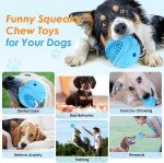 Durable Squeaky Dog Balls for Aggressive Chewers