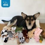 Stuffless Squeaky Dog Toys for Small & Medium Dogs