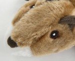 Large GoDog Squeaky Squirrel Dog Toy