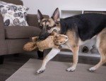 Large GoDog Squeaky Squirrel Dog Toy