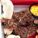 KONG Play Pack: 4 Layerz Squeaky Dog Toys
