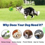 Giggle Sound Large Wobble Squeaky Dog Ball