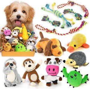 12-Pack Squeaky Toys for Small Dogs