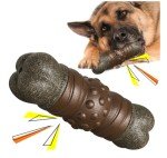 Indestructible Squeaky Toys for Aggressive Chewers