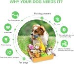 12-Pack Squeaky Toys for Small Dogs