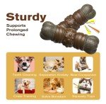 Indestructible Squeaky Toys for Aggressive Chewers