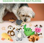 12-Pack Squeaky Toys for Small Dogs