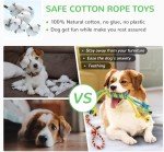 12-Pack Squeaky Toys for Small Dogs