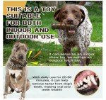 Indestructible Squeaky Toys for Aggressive Chewers