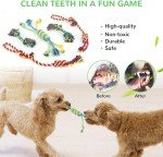12-Pack Squeaky Toys for Small Dogs