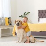 Indestructible Squeaky Toys for Aggressive Chewers