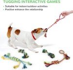 12-Pack Squeaky Toys for Small Dogs